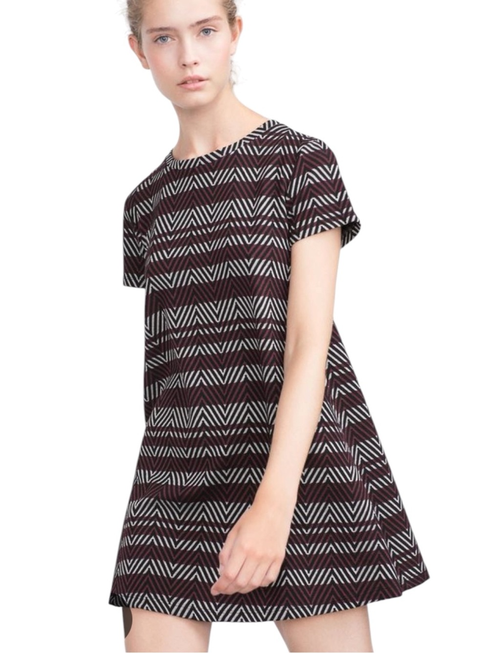 Zara Fall Winter Collection Dress
